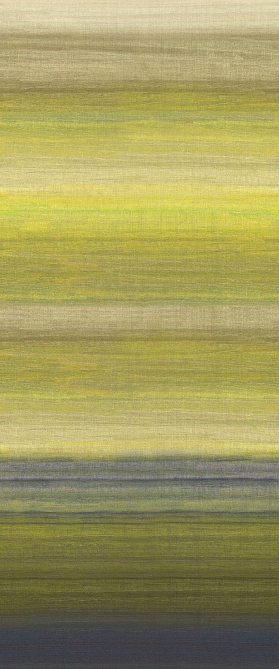 Chanderi Lime DGRIC206-260 Chanderi Lime DGRIC206-260