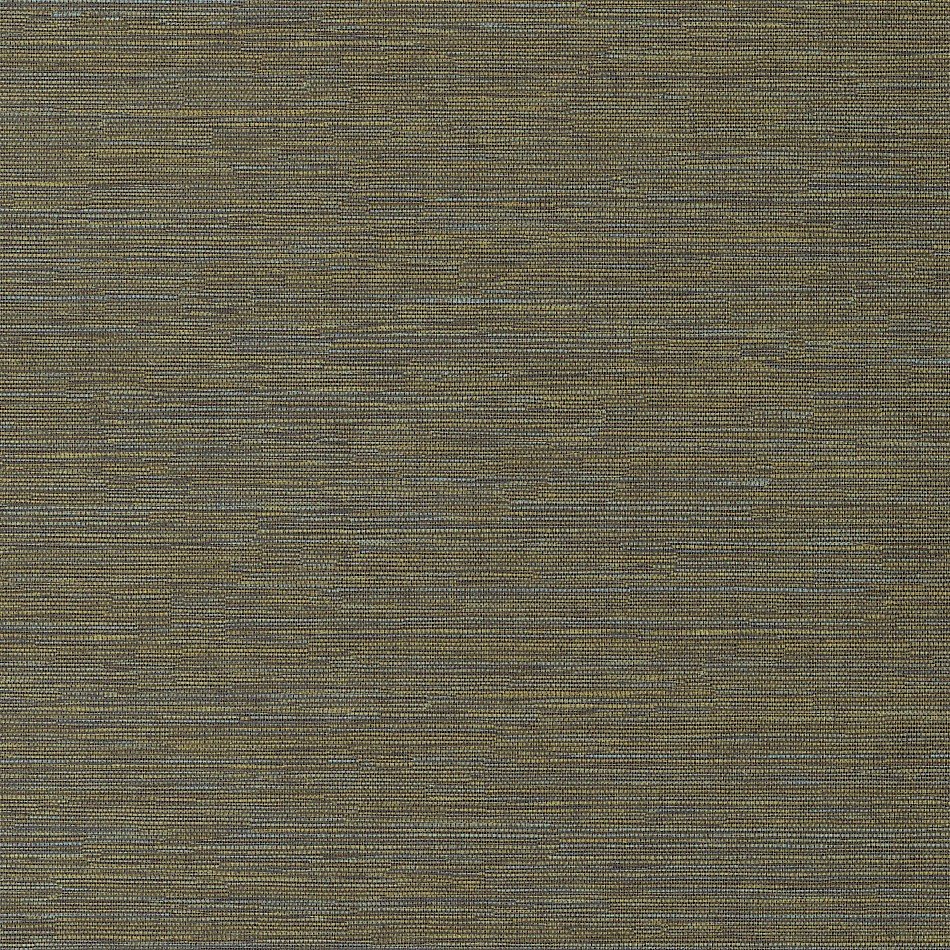 Cadie Lime HPCSIS0009 Cadie Lime HPCSIS0009