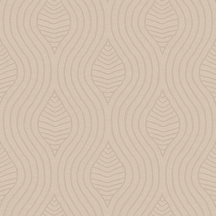 Brodelia Marron Glace
