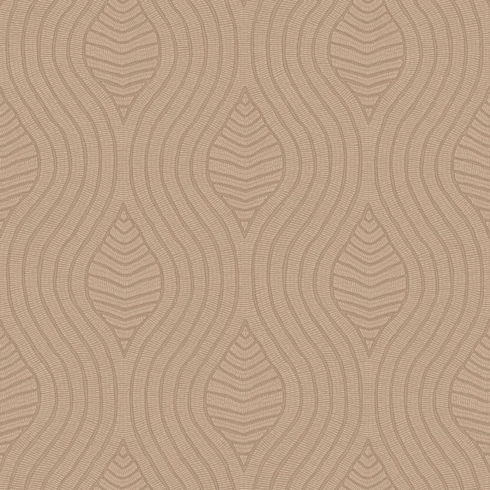 Brodelia Praline