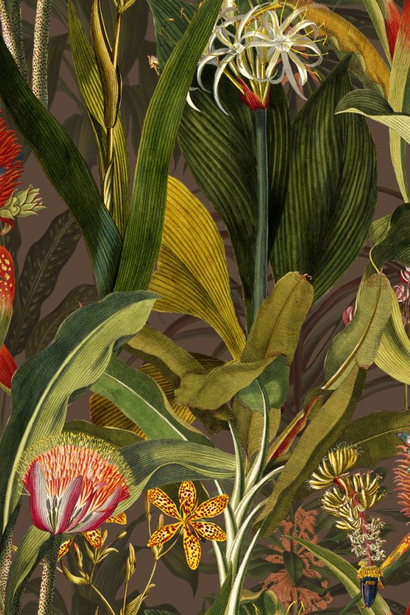 Blooming Pineapple Cardinal Blooming Pineapple Cardinal