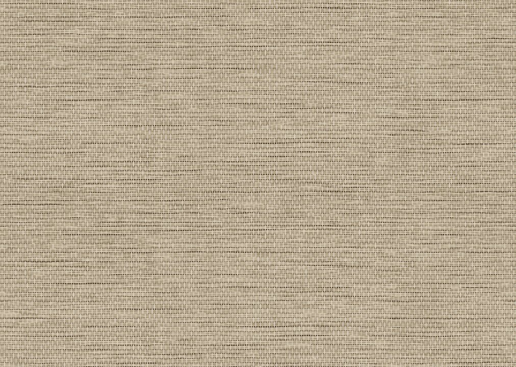 Arte Le Papier Tissé 60505 Hazelnut Arte Le Papier Tissé 60505 Hazelnut