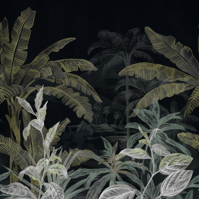Casamance  Olea 74840272