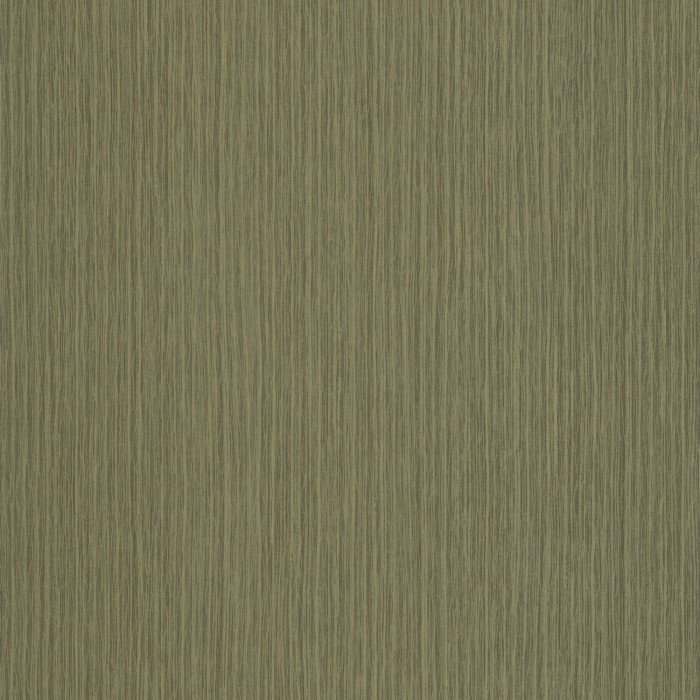 Fiber Vert canopee