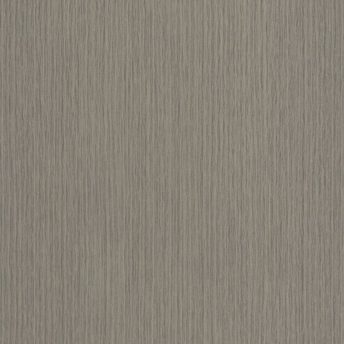 Fiber Gris pigeon