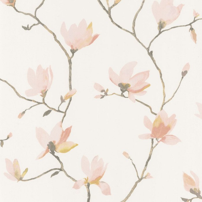Florescence Suzhou Rose