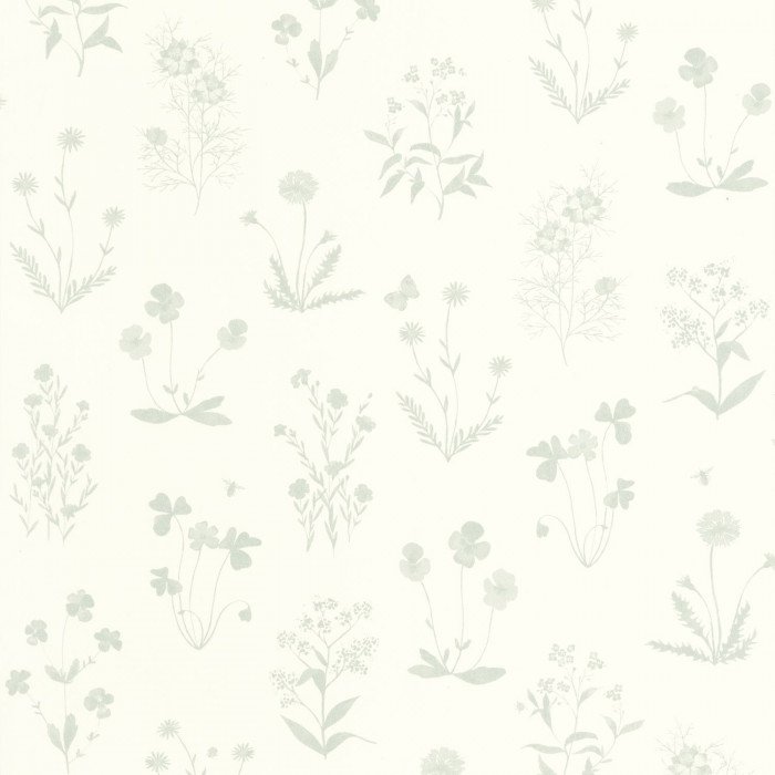 Herbier Bleu grise