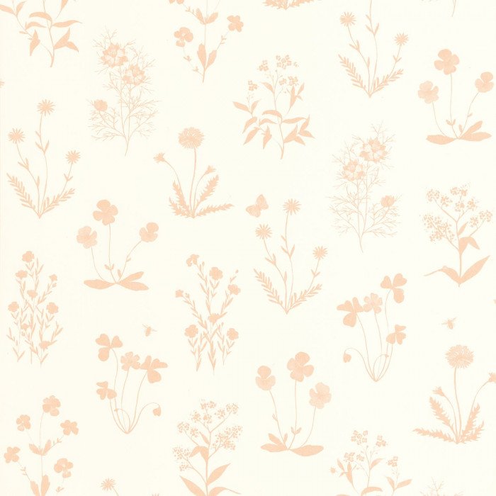 Herbier Rose nude
