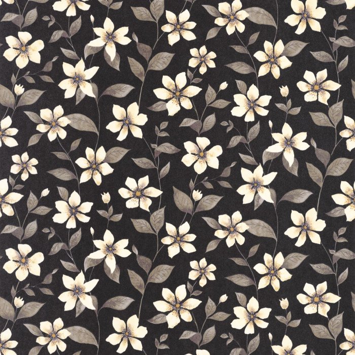 Clematites Noir fusain