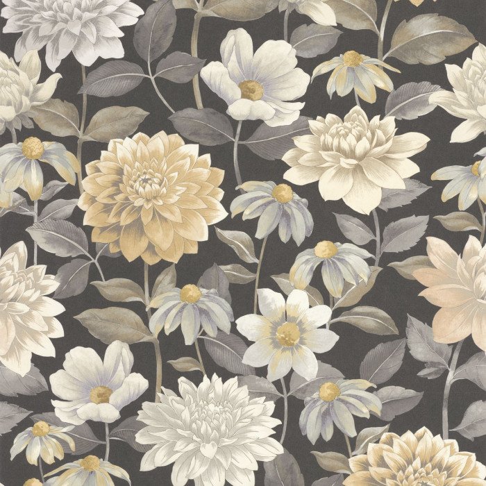 Dahlia Noir fusain