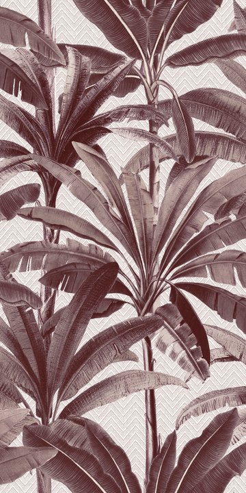 Palmera 11141