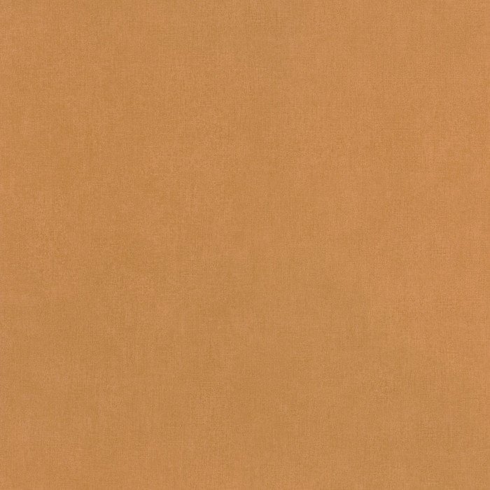 Life Camel