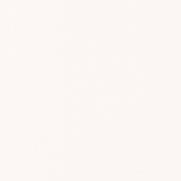 Linen Uni Blanc