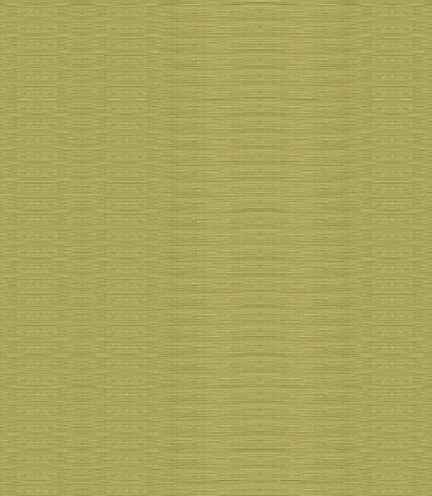 Line Gold Olive