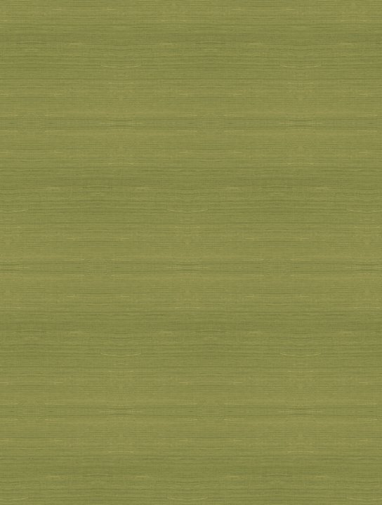 Line Fern