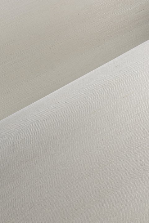 Line Oyster White