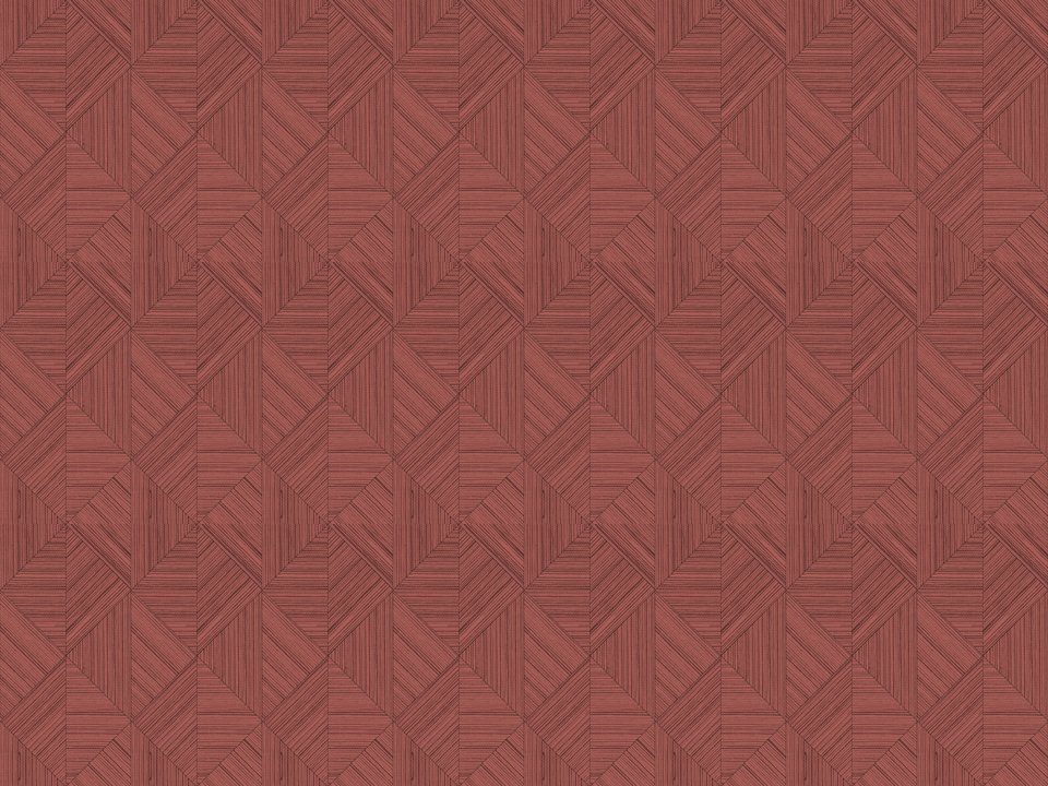 Optique Rubis