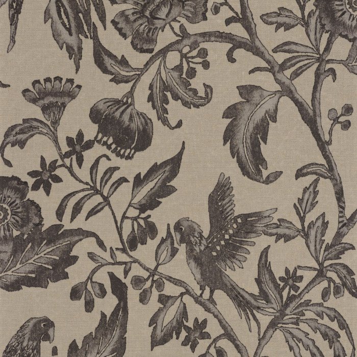 Etourneau Noir reglisse