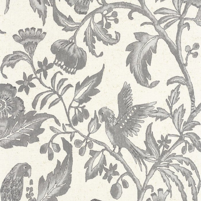 Etourneau Noir gravure