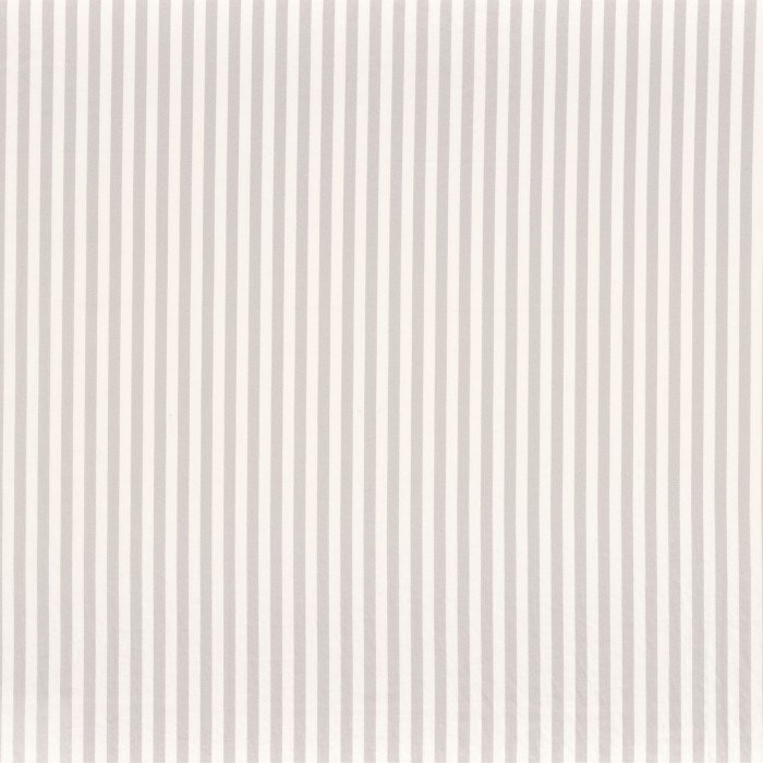 Malicieux Gris
