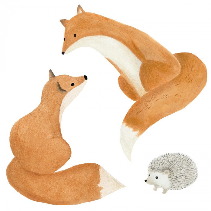 Decor pre-encolle fox Roux