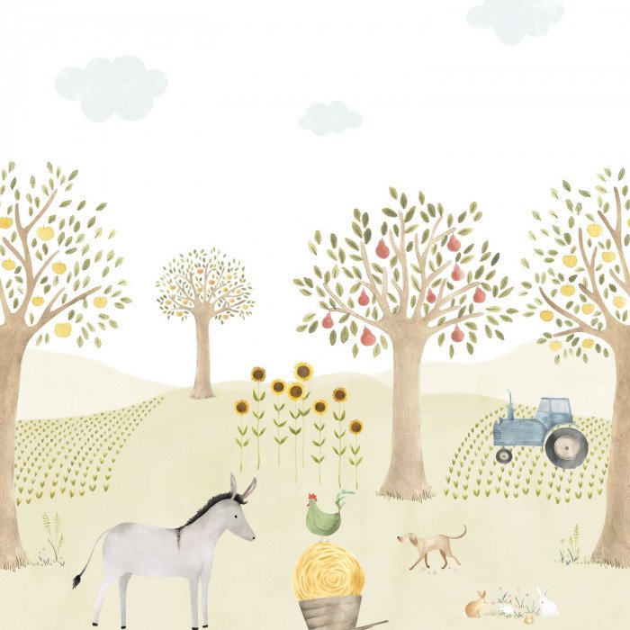 The farm adventures with donkey M