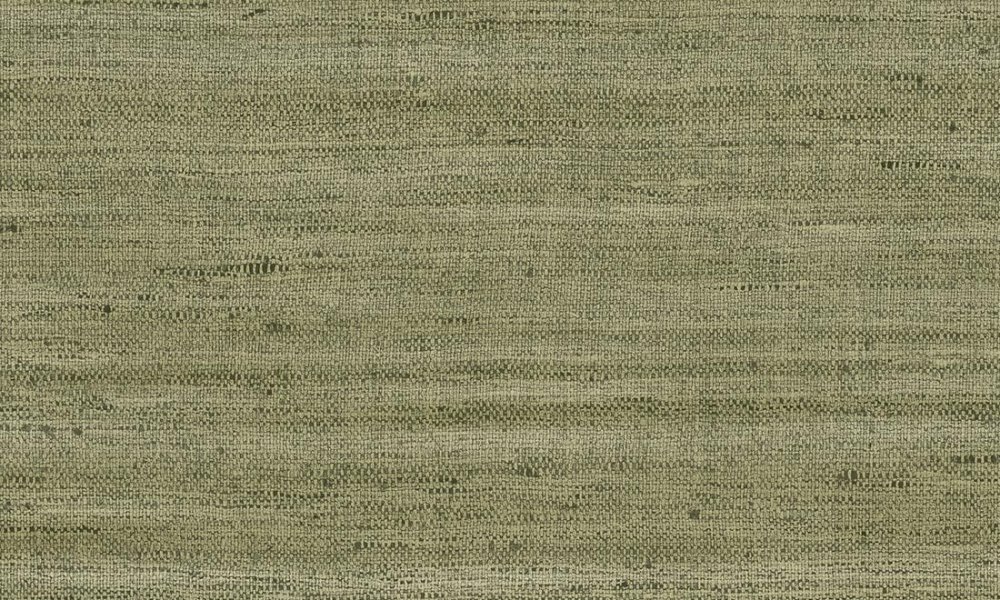 Lignes Olive