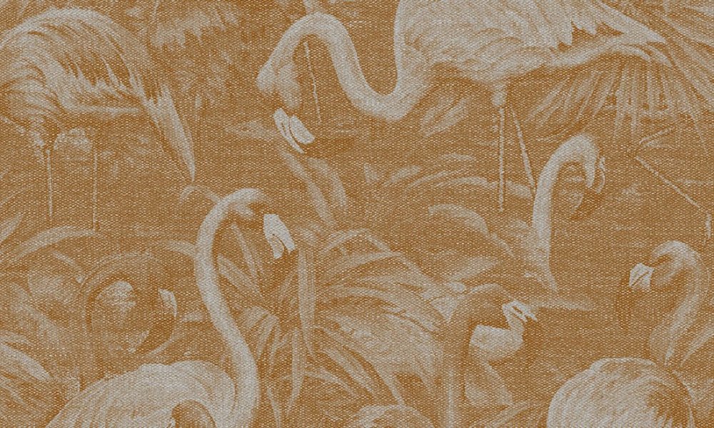 Flamencos Andinos Marigold