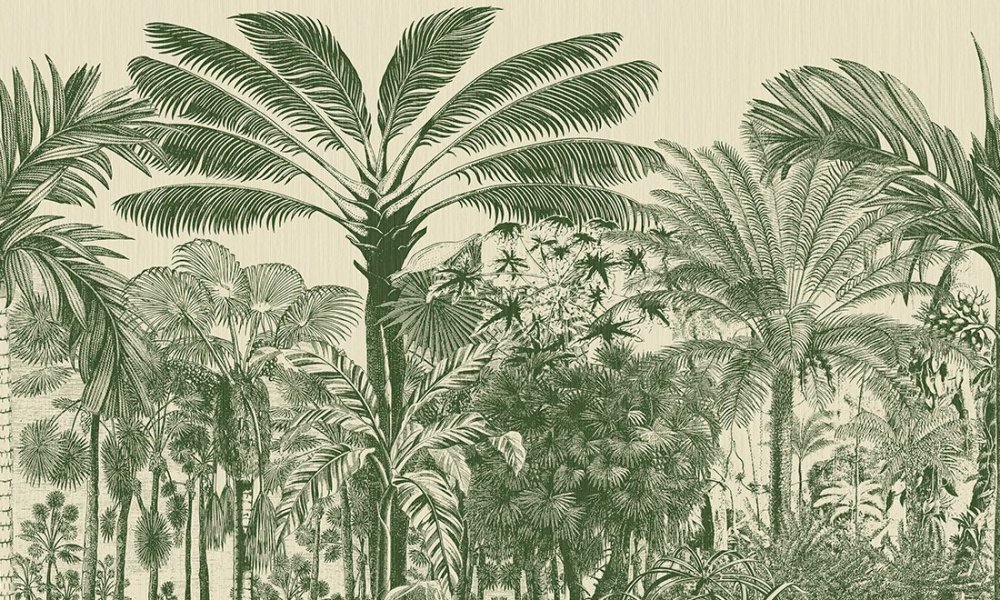 Valle de Vi&ntilde;ales Palmier