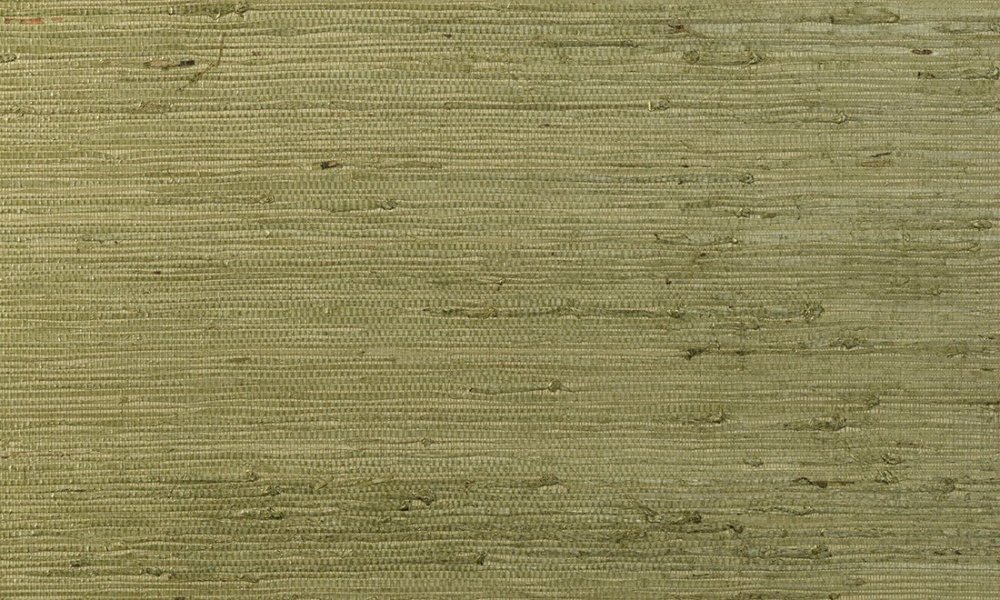 Kudzu Olive