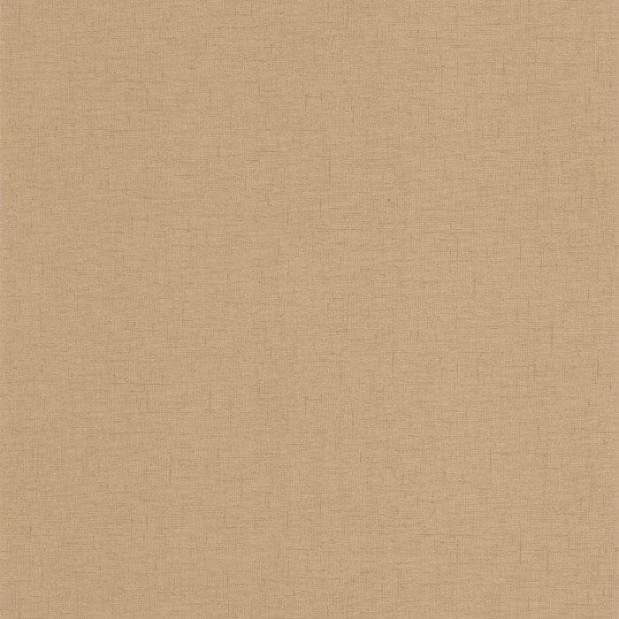 Uni Gaze Camel