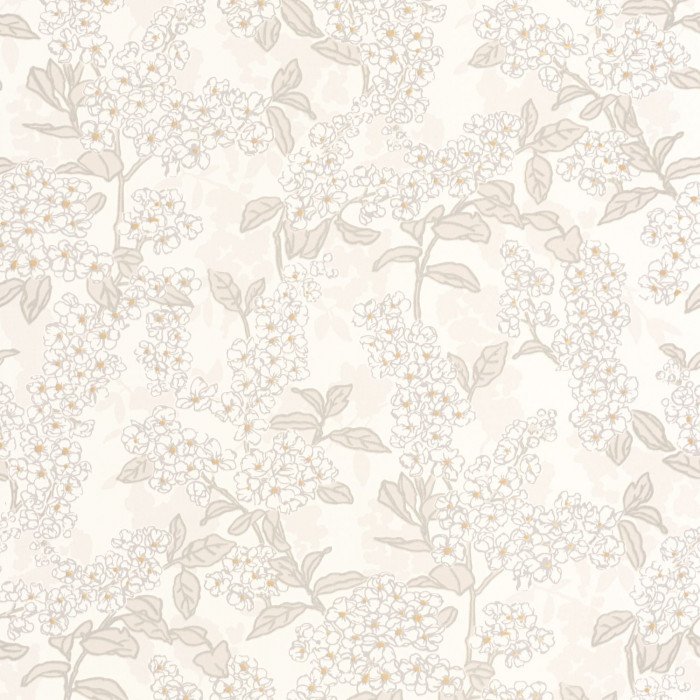 Ume Blanc coton
