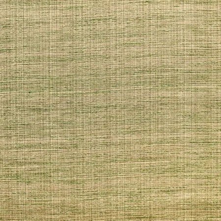 Capital Two tone taupe and Green