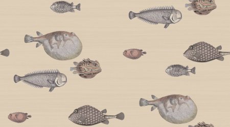 Acquario Taupe Acquario Taupe