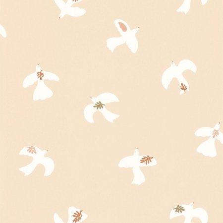 Colombe Rose blanc