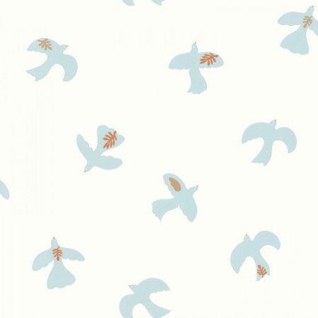 Colombe Blanc bleu ciel