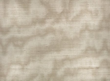 Caractère Taupe Caractère Taupe
