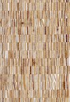 Fringe 40321