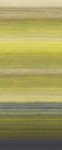 Chanderi Lime DGRIC206-260 Chanderi Lime DGRIC206-260