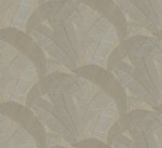 Banyan Elm RIC206 Banyan Elm RIC206