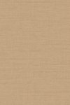 Flemish Flax Sand drift Flemish Flax Sand drift