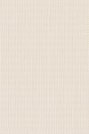 Arundo Eggshell