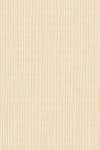 Arundo Almond White