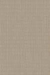 Arundo Khaki
