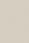 Arundo Pale Olive