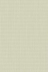 Arundo Aloe Wash
