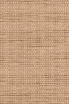 Bolga Pecan