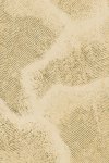 Nefeli Sahara Gold