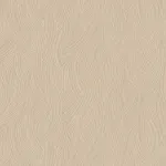 Kashmir Beige
