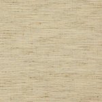 Driftwood Warm Beige Driftwood Warm Beige